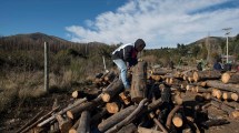 Imagen de Bariloche tiene logística y fondos propios para la leña del plan Calor