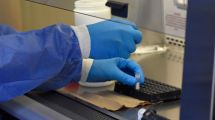 Imagen de El avance del coronavirus y dónde luchan Río Negro y Neuquén para frenarlo