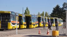 Imagen de La UTA levantó el paro y habrá colectivos en Neuquén