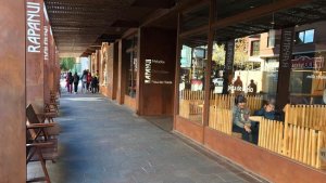 Fenoglio tuvo su minuto de fama y confirmó haber pagado el impuesto a las grandes fortunas