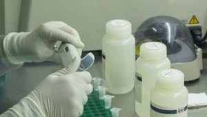 Neuquén suma 35 pacientes de alta por el coronavirus