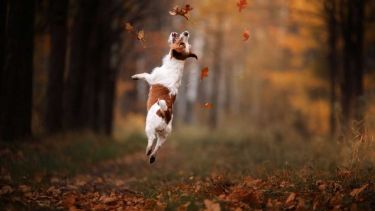 Pronóstico: así se viene este miércoles en la región