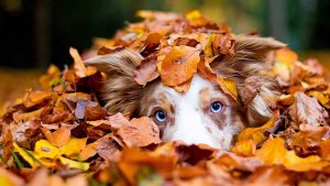 Pronóstico: ¿La semana arranca fresca en la región?