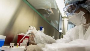 El Instituto Malbrán identificó las cepas del Covid-19 que circulan en el país