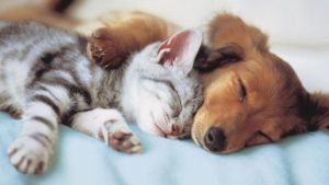 Pronóstico: así empieza mayo en la región