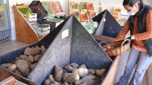 Aumentó hasta 70% el precio de las frutas y las verduras