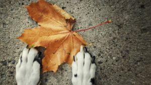 Pronóstico: se viene un jueves cálido pero nuboso en la región