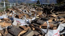 Imagen de Bariloche busca recortar el gasto del plan Calor, pero aseguran que se mantendrá la cobertura