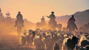 Cinco razones de por qué cuesta vivir en el campo pero vale la pena intentarlo