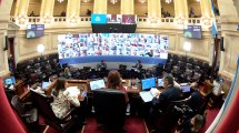 Imagen de El senado ya sesiona y aprobaría la ley de donación de plasma y la atención médica virtual