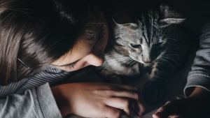 Pronóstico: este martes sigue la nubosidad en la región