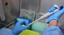 Imagen de Río Negro sumó dos casos de coronavirus: son 333 los acumulados