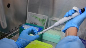 Neuquén mantiene 123 casos confirmados de coronavirus