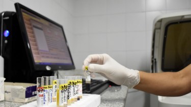 El test de PCR busca la presencia de material genético del virus. Foto Florencia Salto.