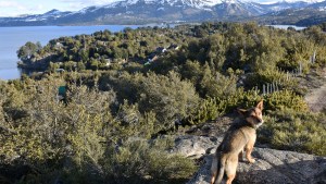 Cómo es el protocolo de salidas recreativas en Villa Pehuenia y Moquehue