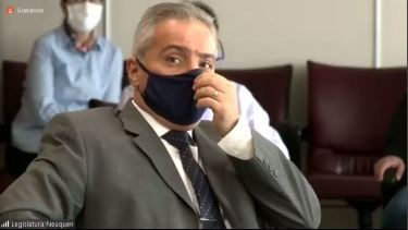 Busamia en la Legislatura, ante la comisión de Asuntos Constitucionales. (Imagen web)
