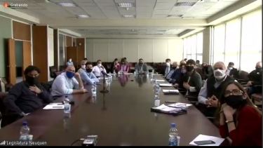 Los diputados siguen la exposición desde la sala de comisiones. (Imagen web)