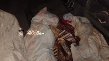 Detuvieron a cuatro hombres por romper la cuarentena y por trasladar carne de "dudosa procedencia" sobre Ruta 40, en Zapala. (Foto: Gentileza).