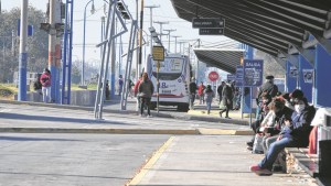 En Roca, sigue el paro en el transporte público y se agudiza el conflicto