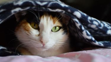 Pronóstico: se viene un martes inestable en la región