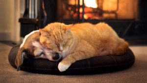 Pronóstico: así cierra la semana en la región