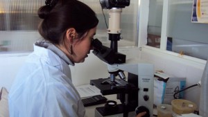 Neuquén cumplió seis días sin casos nuevos de coronavirus