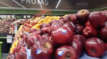 Imagen de El precio de la manzana en góndola creció solo 30% contra una inflación del 55%