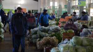 El tomate y el zapallito de tronco duplicaron en Neuquén su valor en dos semanas