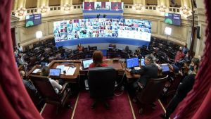 El Senado sesiona de nuevo este miércoles por videconferencia