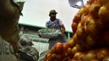 Imagen de El Mercado Concentrador de Neuquén advierte que ingresa verduras sin controlar