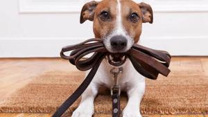 Pronóstico: así empieza esta semana corta en la región