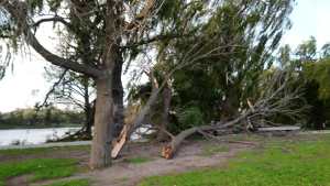 Un fuerte temporal de viento en Viedma