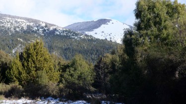 El gobierno de Gennuso quiere rematar cinco valiosos lotes en la zona oeste de Bariloche. Archivo