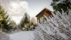 Mirá la nevada que está cayendo en San Martín de los Andes