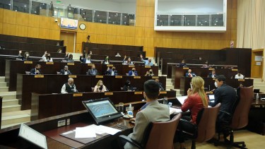 Hasta ahora, sólo los diputados del interior participaban de manera virtual. Foto: gentileza.