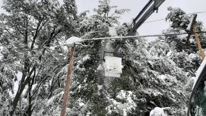 Sigue el corte por nieve en Zapala y aún hay sectores de la Angostura sin luz