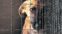 Imagen de El maltrato animal ya no es invisible pero pocos denuncian