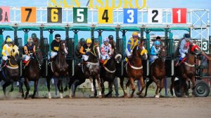 El turf trabaja para poder volver a la actividad