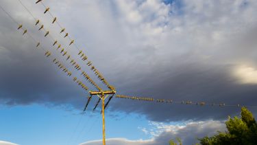 Uno de los cortes de la semana pasada se extendió por media hora en Chos Malal. Foto: Gentileza EPEN