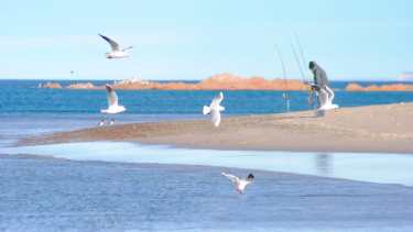 El pescador y las gaviotas en Piedras Coloradas. Foto: Maxi Morales