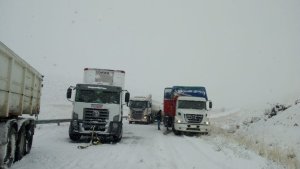 Unos 100 camiones sobre la Ruta 237 a la espera de que abra Pino Hachado