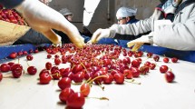 Imagen de Alimentos y cuarentena: se mantiene el abastecimiento y crecen las exportaciones