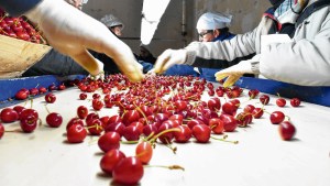 Alimentos y cuarentena: se mantiene el abastecimiento y crecen las exportaciones