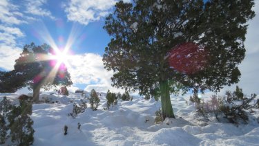 Un paisaje que en invierno resulta cautivante por la nieve. Foto Parque Nacional Lanín