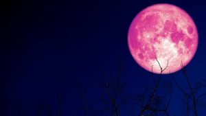 Hoy se podrá apreciar el eclipse «Luna de fresa»