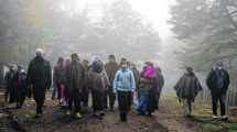Imagen de Causa mapuche: Odarda dijo que el STJ lanzó un mensaje “disciplinador” a jueces y fiscales