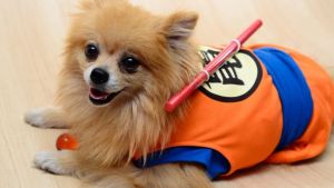 Pronóstico: así amanece el jueves en la región