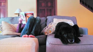 Cómo afecta el encierro  en la salud de nuestras mascotas