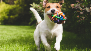 Pronóstico: así estará este miércoles en la región