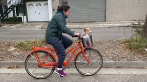 Pronóstico: la semana termina con nubosidad en la región